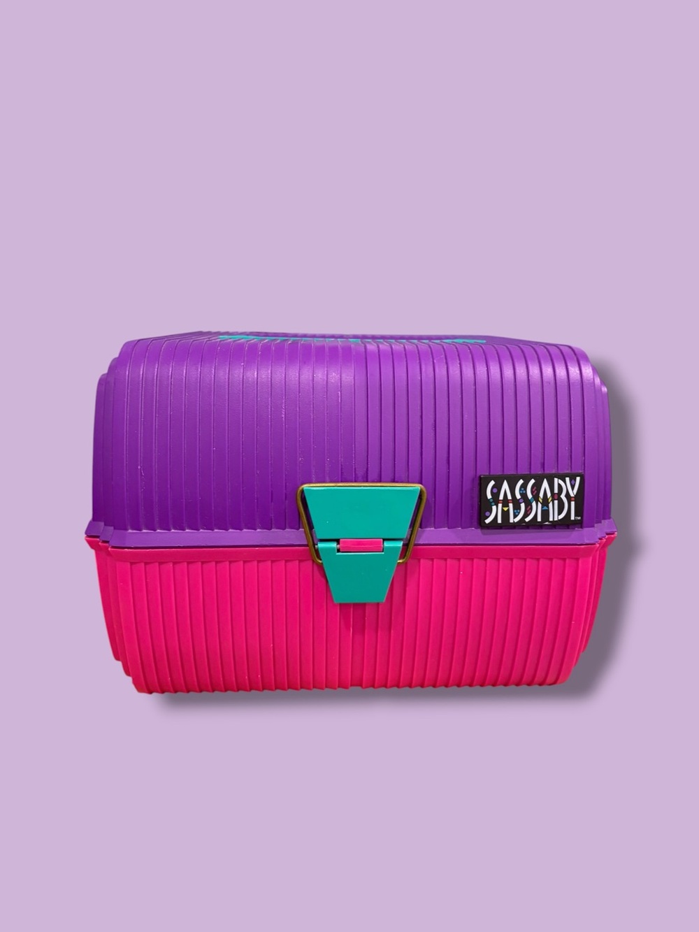 1990s Sassaby Purple & Pink Makeup Case Tacklebox